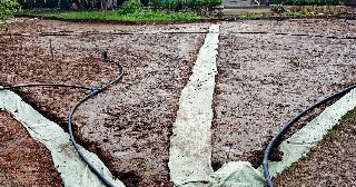 Устройство дренажа Гай, цена от 1355 руб.